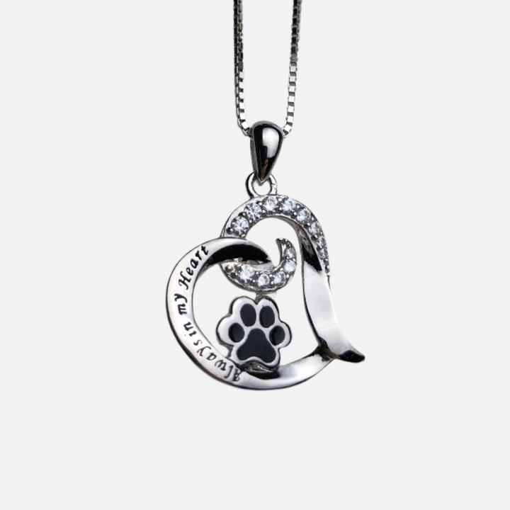 Collier Mémorial Élégant pour Chien – Acier Inoxydable