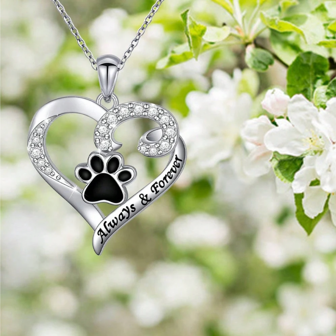 Collier Patte de Chien – Design en Cœur en Acier Inoxydable avec Zirconia