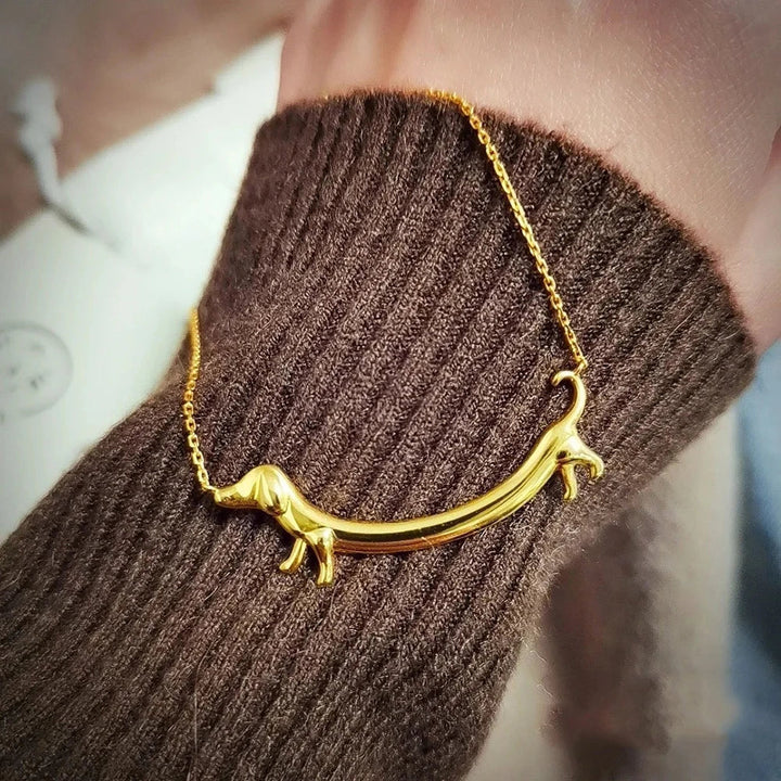 Collier Dachshund Doré