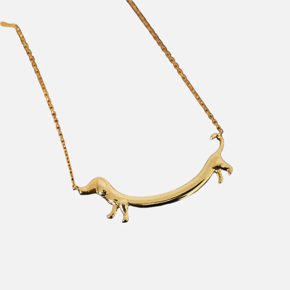 Collier Dachshund Doré